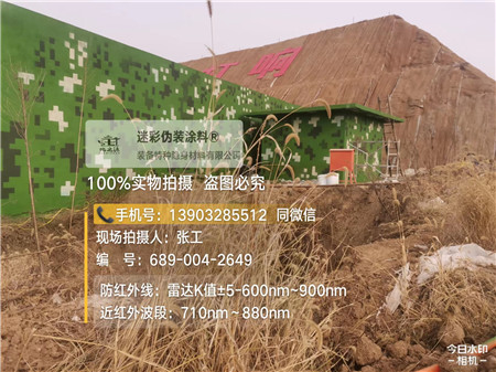 济南星空迷彩墙施工队