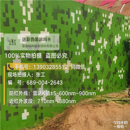 济南星空迷彩漆，夏令营训练,数码迷彩作训墙,围墙
